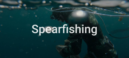 Spearfishing